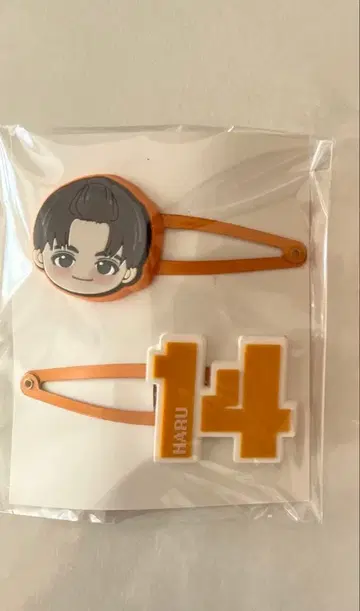 초특급 REAL? 하루 헤어 클립