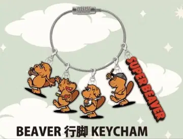 비버 행각 키참