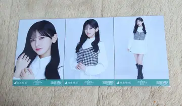 노기자카46 브로마이드 이케다 에레나 하운드투스 컴프