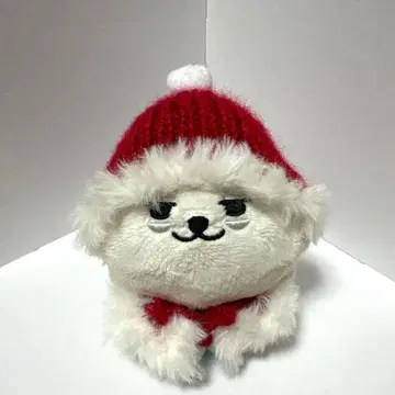 TXT 뿔바투 용몬 산타 모자&케이프 2 수빈