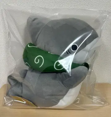 외출 아기 상어 봉제 인형.