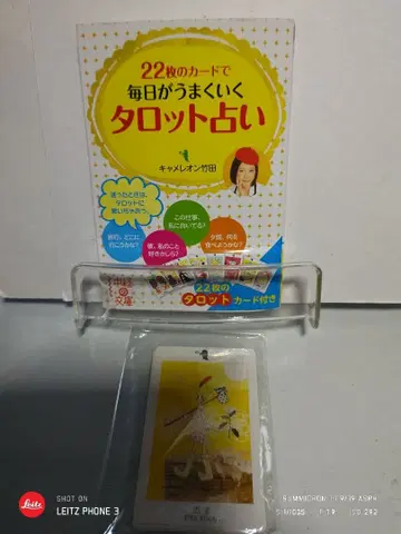 22장의 카드로 매일이 잘 풀리는 타로점