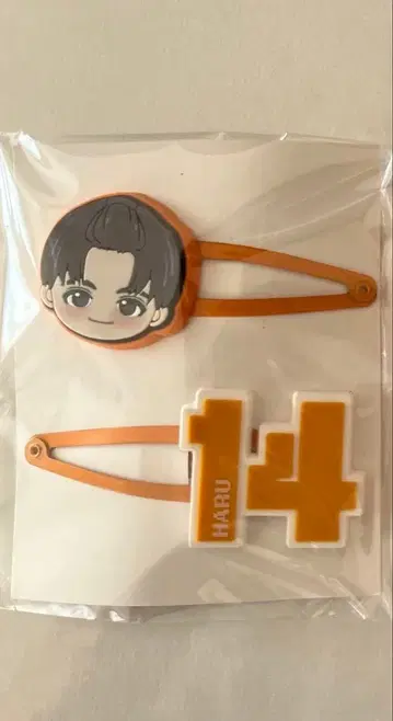 초특급 REAL? 하루 헤어 클립