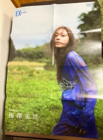 [ 노기자카46 우메자와 미나미 ] EX 대중 12월호 포스터 16장