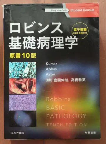 로빈스 기초병리학 제10판