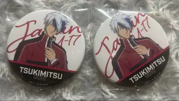 테니스의 왕자님 테니페스 캔뱃지 오치 겟코 2개 세트