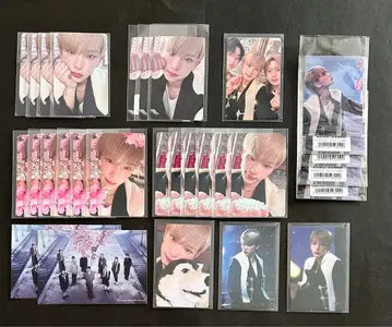 &TEAM HARUA 설광 트레이딩 카드 스티커