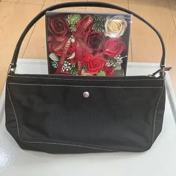 아네스베 나일론 핸드백