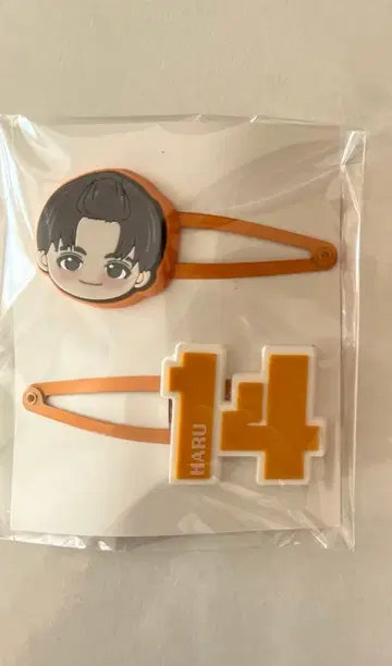 초특급 REAL? 하루 헤어 클립