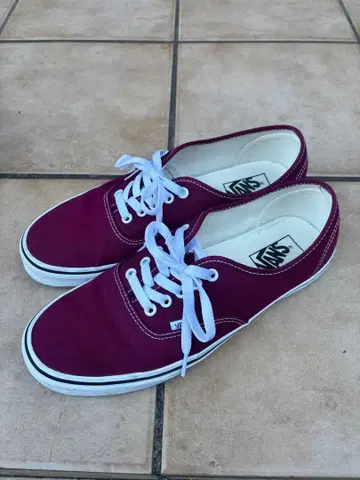 VANS 오센틱