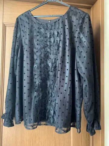 Rose Tiara 시스루 도트 무늬 긴팔 블라우스