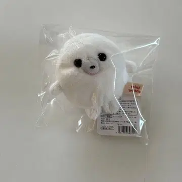 만보 미니 콩 봉제 인형 물개 A-SHOW