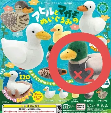 NTC MONO 오리와 청둥오리 봉제 인형 청둥오리 (수컷) 2체 세트