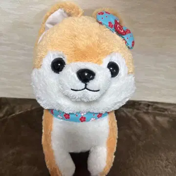 콩 시바 삼형제 BIG 코우메짱