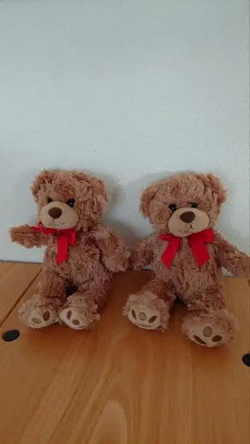 2023년 구매 미사용 곰 봉제 인형 2체 세트
