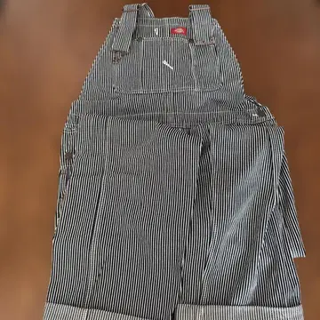 Dickies 스트라이프 오버롤