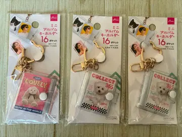 [단종] 미니 앨범 키링 16포켓 다이소 3개 세트