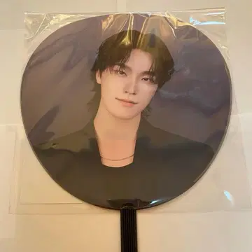 SEVENTEEN NEW 디노 부채