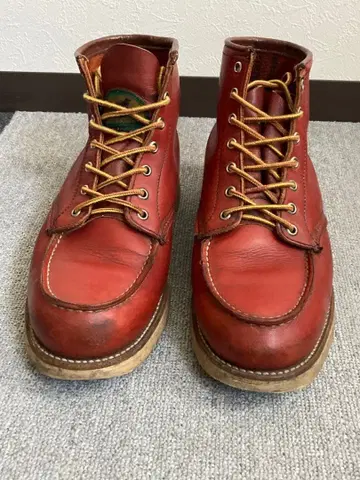 레드윙 반원견 9E 9.5E 10E