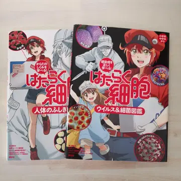 일하는 세포 2권 세트