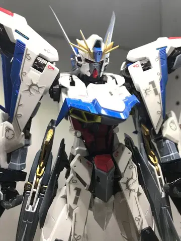 [ 조립, 도장 완료 ] MG 이클립스 건담