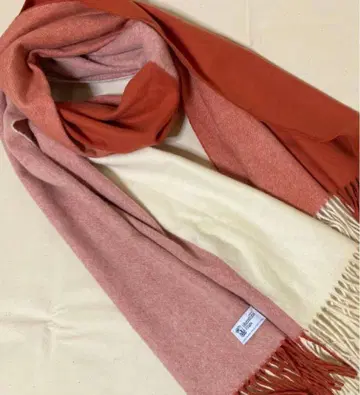 레어 컬러 한정판 존스턴즈 캐시미어 대형 스톨 머플러 IENA