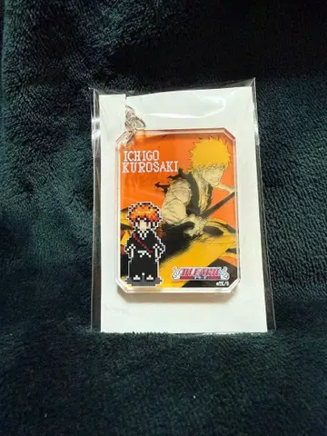 BLEACH 원화전 시크 아크릴 키링 컬렉션 쿠로사키 이치고