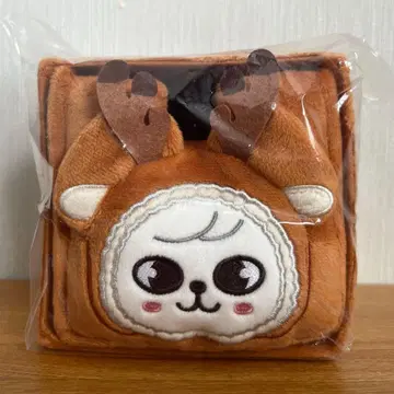 Stray Kids 크리스마스 수납 박스