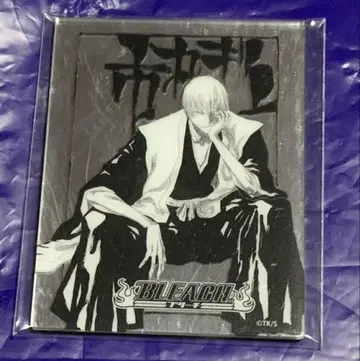 BLEACH 메탈릭 마그넷 컬렉션 이치마루 긴