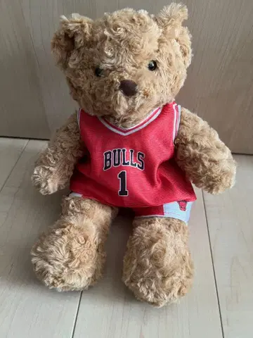시카고 불스 데릭 로즈 봉제 인형