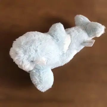 나고야항 수족관 범고래 봉제 인형