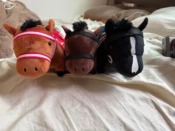 서러브레드 컬렉션