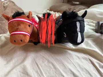 서러브레드 컬렉션