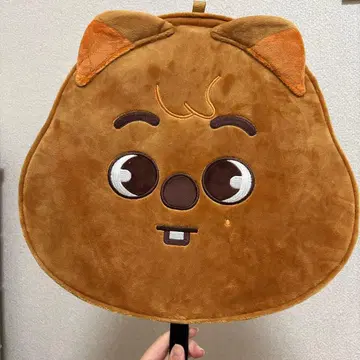 한 한크 보드카 straykids 스키즈 skzoo 부채 케이스