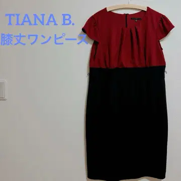 TIANA B. 빨검 반팔 무릎 기장 원피스 16 [17호] 드레스