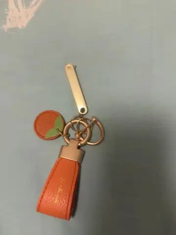 오렌지 후르츠 모티브 키링