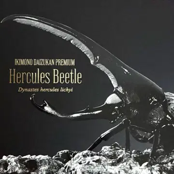 헤라클레스 장수풍뎅이 (헤라클레스 리키) 생물대도감 프리미엄