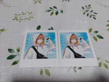 프로세카 시노노메 아키토 밤 페스티벌 폴라로이드