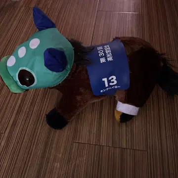 킹 헤일로!! 제30회 다카마쓰노미야 기념