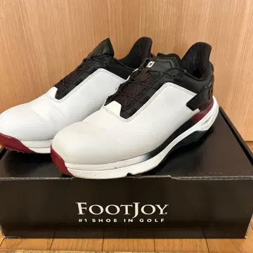 24.5 남성용 골프화