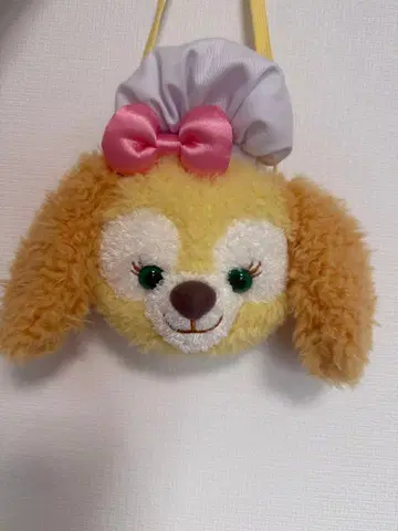 쿠키앤 패스 케이스