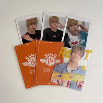 주식회사 DD ReLIT 황노세 하루키 하피카 트레이딩 카드