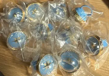 프로세카 세카라이5th 링 라이트 키리타니 하루카 10점