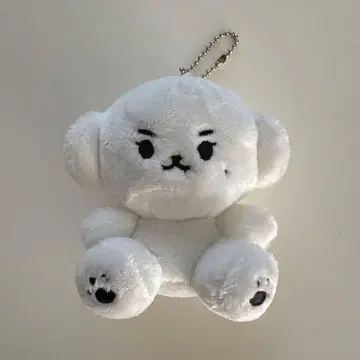 세븐틴 민규 마스터 봉제 인형 키체인 포함