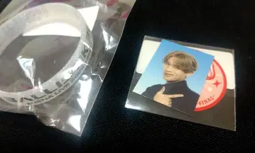 후카보리 미라이 증명사진 러버 브레스 2