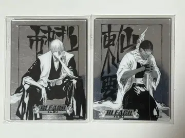 BLEACH 메탈릭 마그넷 컬렉션 이치마루 긴 토센 카나메