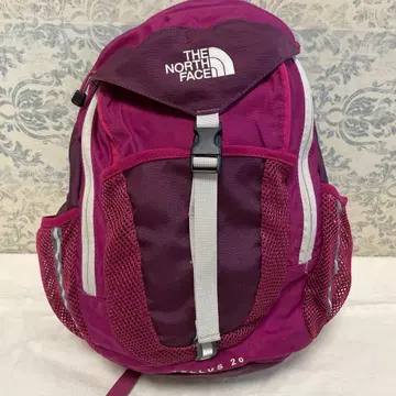 THE North face 백팩 비 커버 포함 Tellus 20