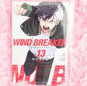 윈드브레이커 사쿠라 하루카 마그넷