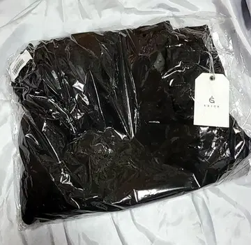 ESICA 울 터치 턱 와이드 팬츠