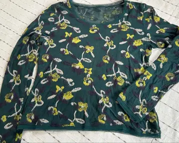 히로코코시노 이너